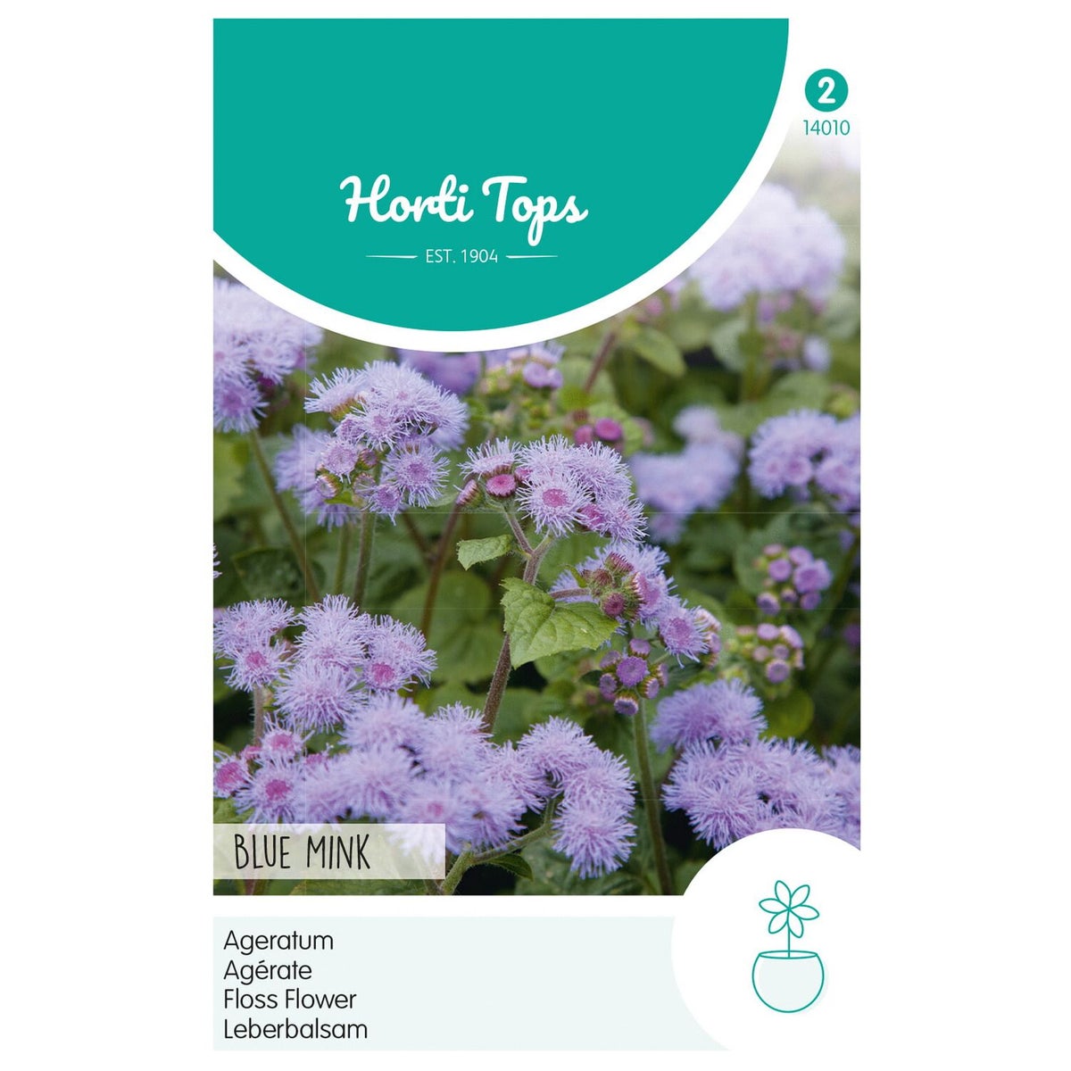 Leverbalsem Blue Mink Leverbalsem Blue Mink