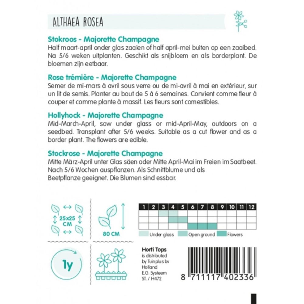 Alcea Majorette champagne (Stokroos) zaad Alcea Majorette champagne (Stokroos) zaad