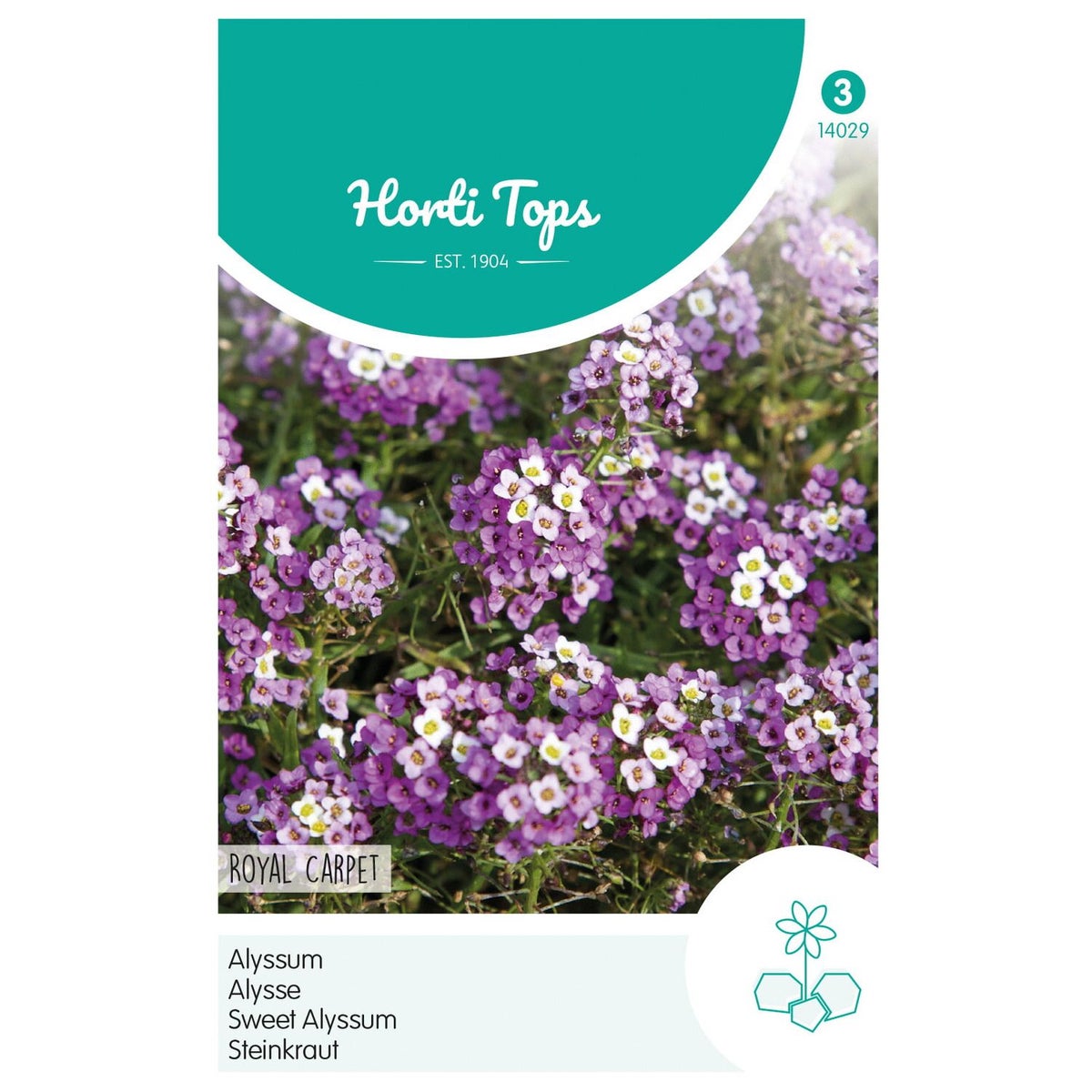 Alyssum Royal carpet Alyssum Royal carpet