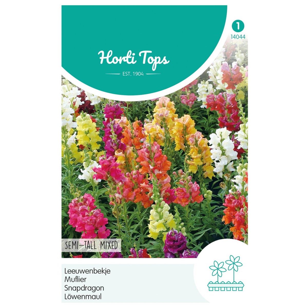 Leeuwenbekje Halfhoog Mix Leeuwenbekje Halfhoog Mix