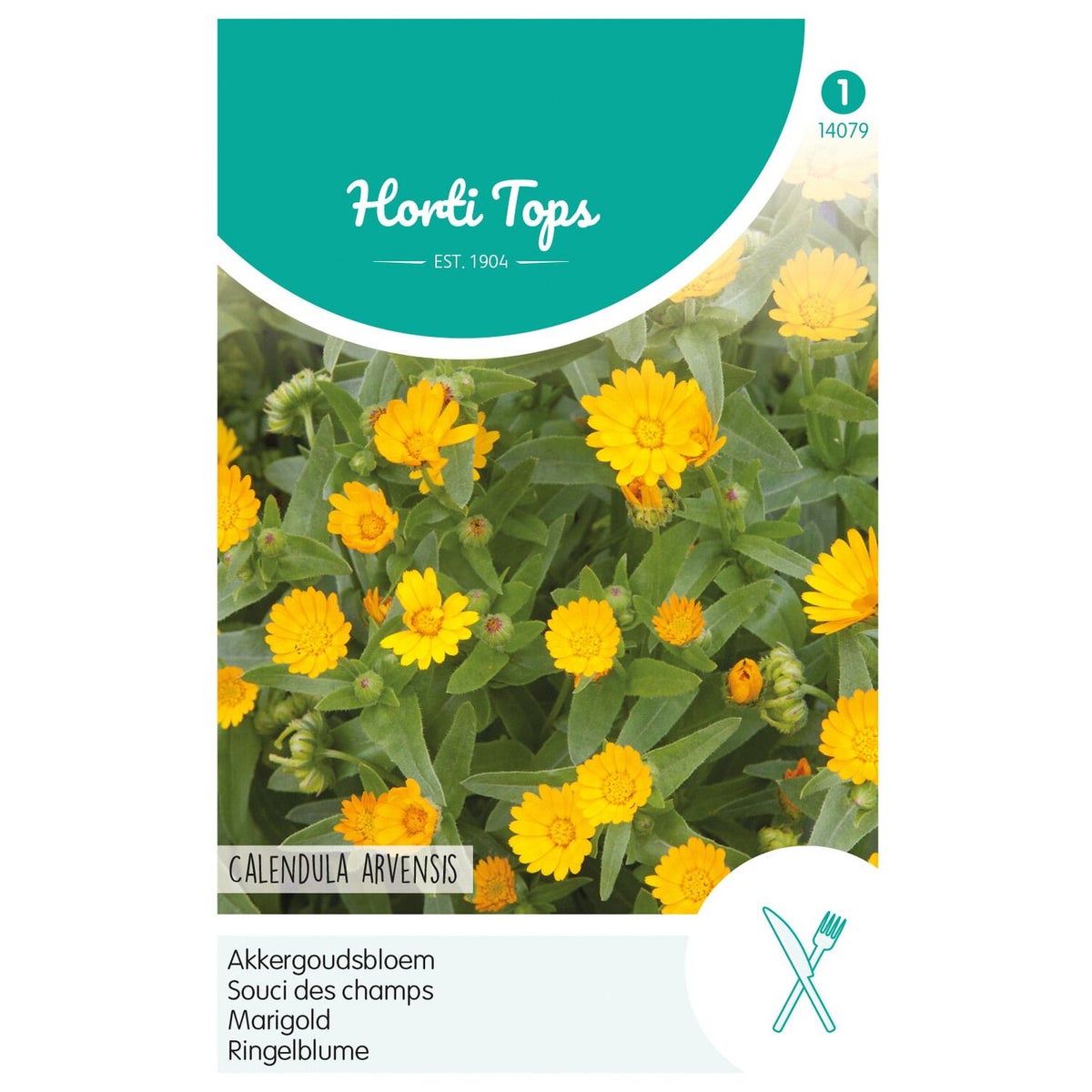 Akkergoudsbloem Akkergoudsbloem