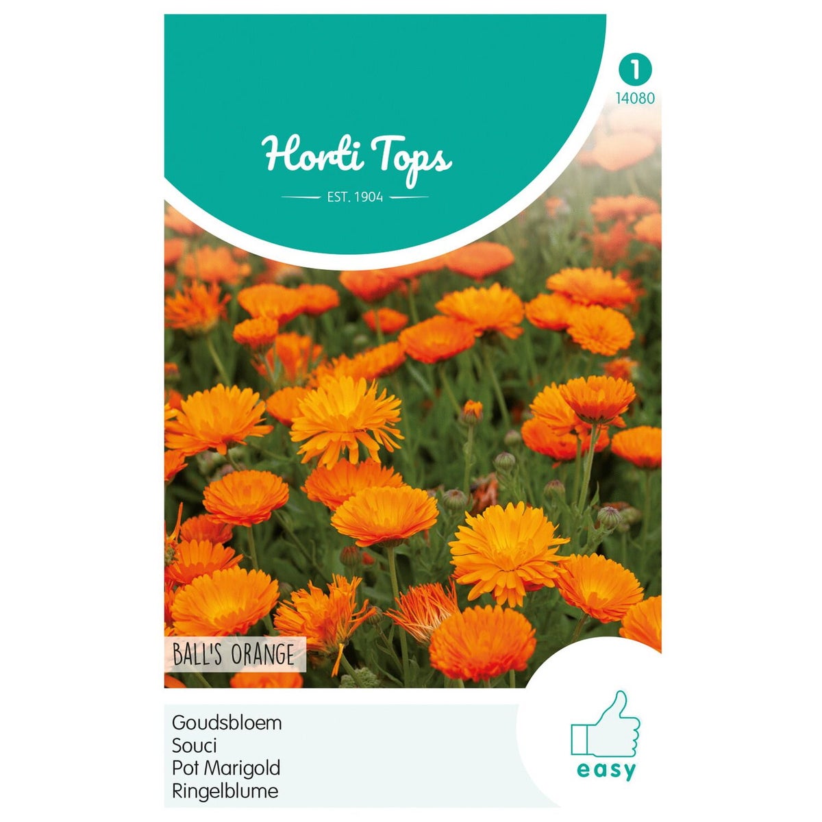 Goudsbloem Ball's Orange Goudsbloem Ball's Orange