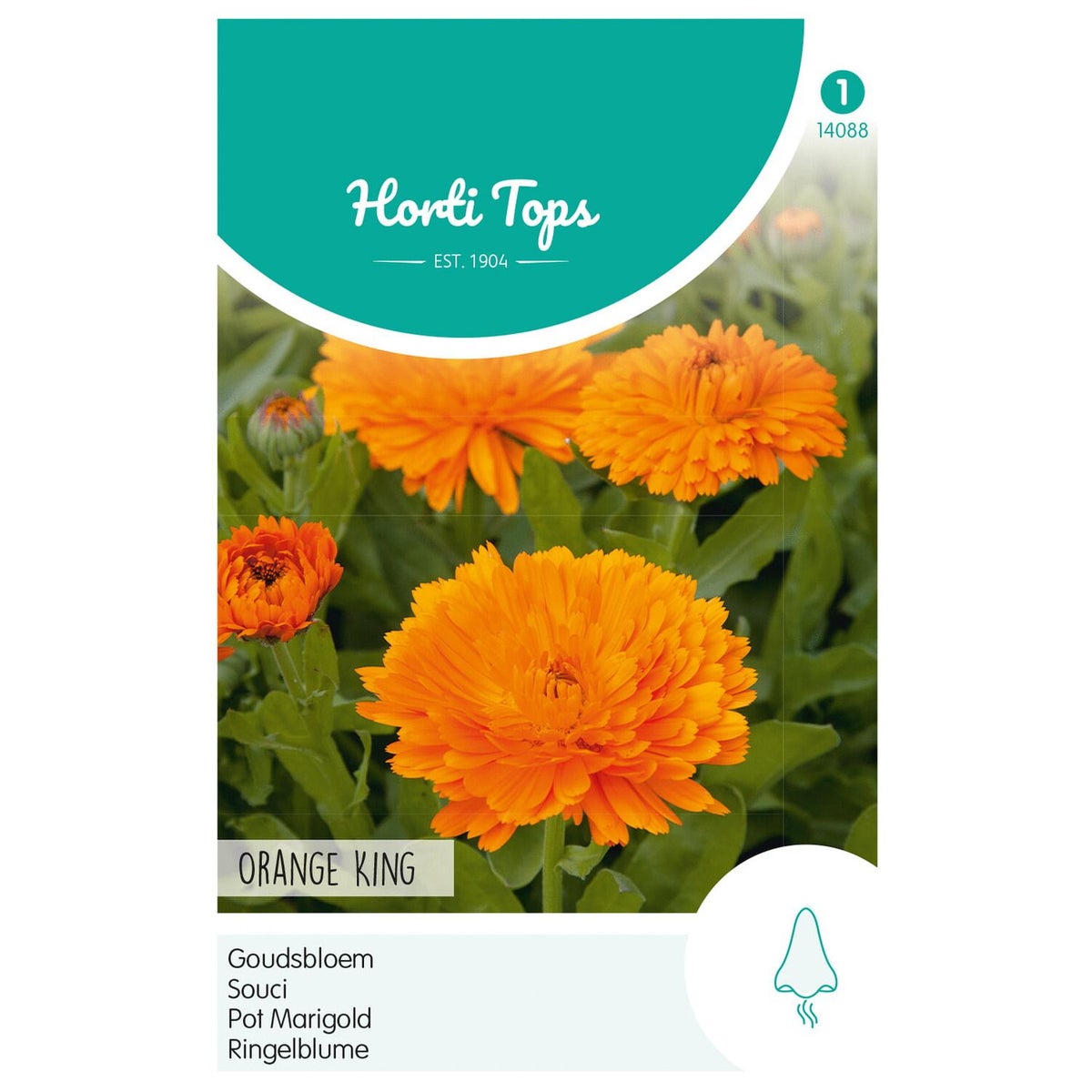 Goudsbloem Orange King Goudsbloem Orange King