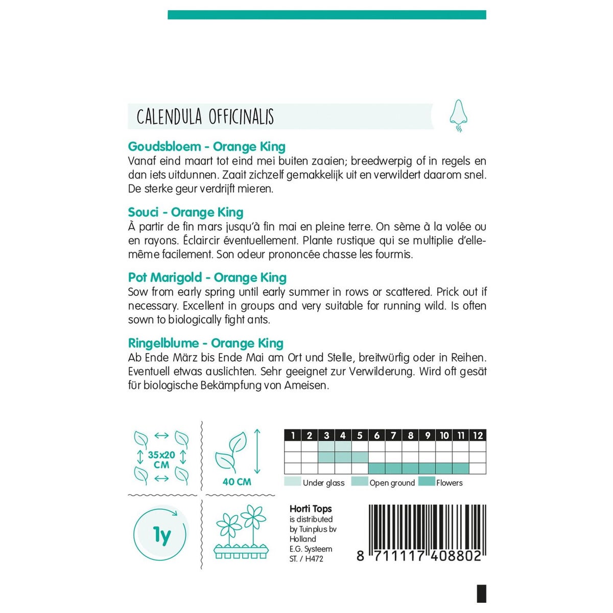 Goudsbloem Orange King Goudsbloem Orange King