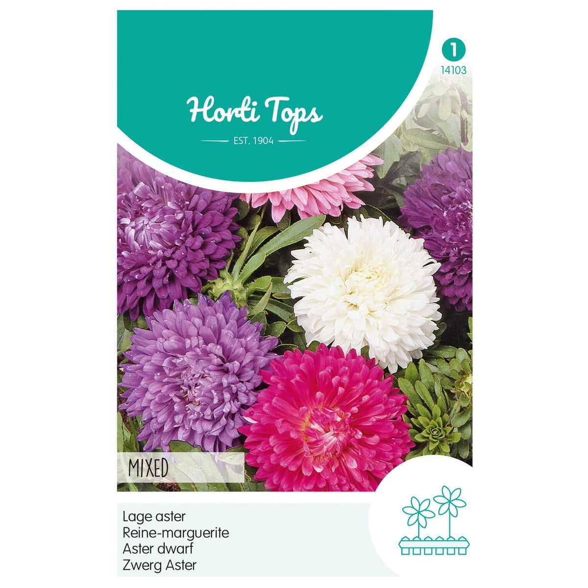 Dwergaster Mix Dwergaster Mix