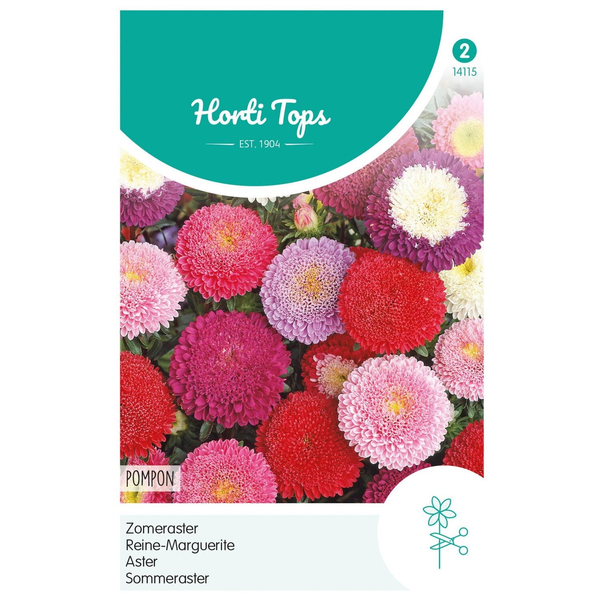 Zomeraster Pompon Mix Zomeraster Pompon Mix