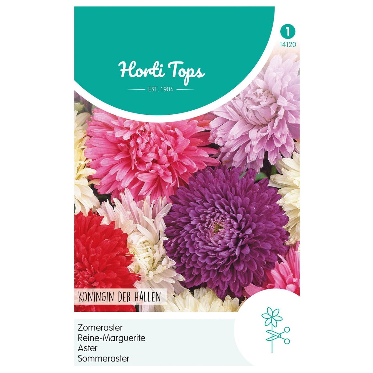 Zomeraster Koningin der Hallen Mix Zomeraster Koningin der Hallen Mix