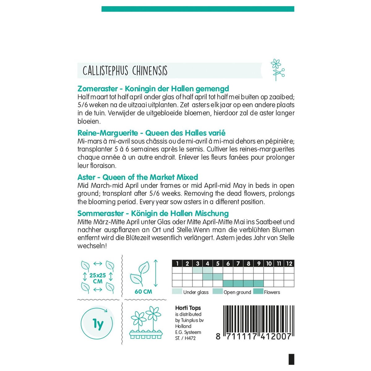 Zomeraster Koningin der Hallen Mix Zomeraster Koningin der Hallen Mix