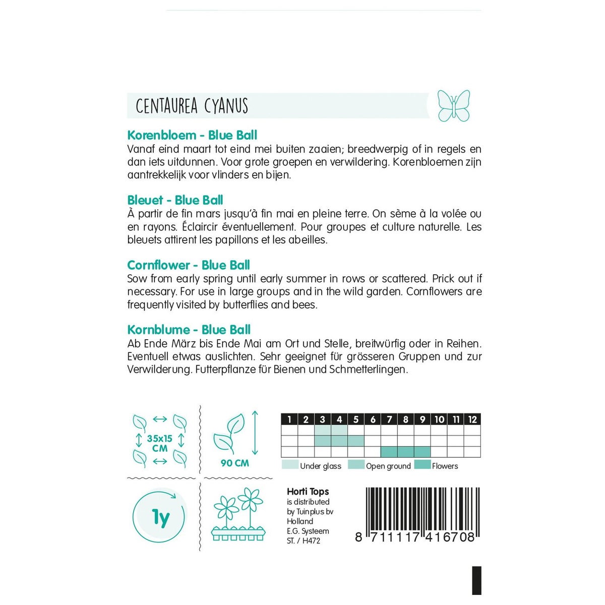 Korenbloem Blue Ball Korenbloem Blue Ball