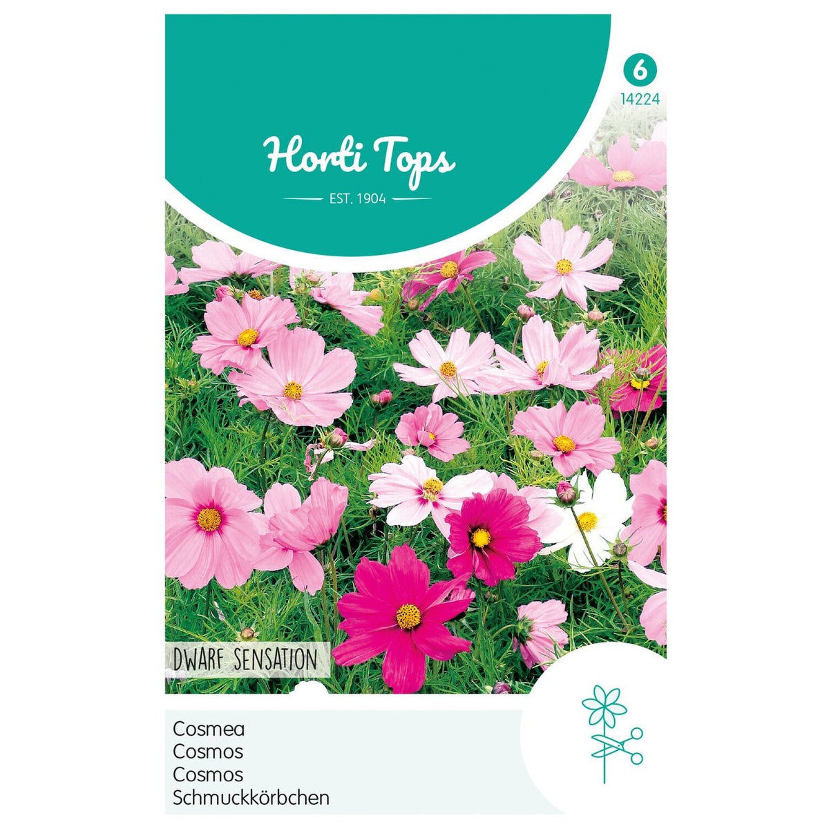 Cosmos Dwarf Sensation Mix Cosmos Dwarf Sensation Mix