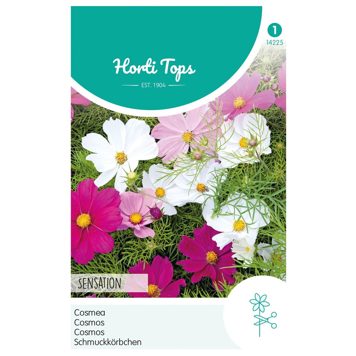 Cosmos Sensation Mix Cosmos Sensation Mix