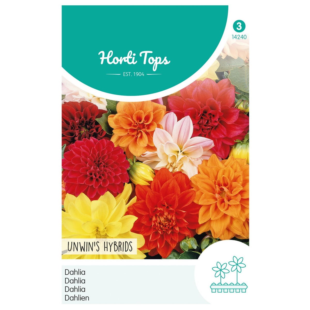 Dahlia Unwin Mix Dahlia Unwin Mix