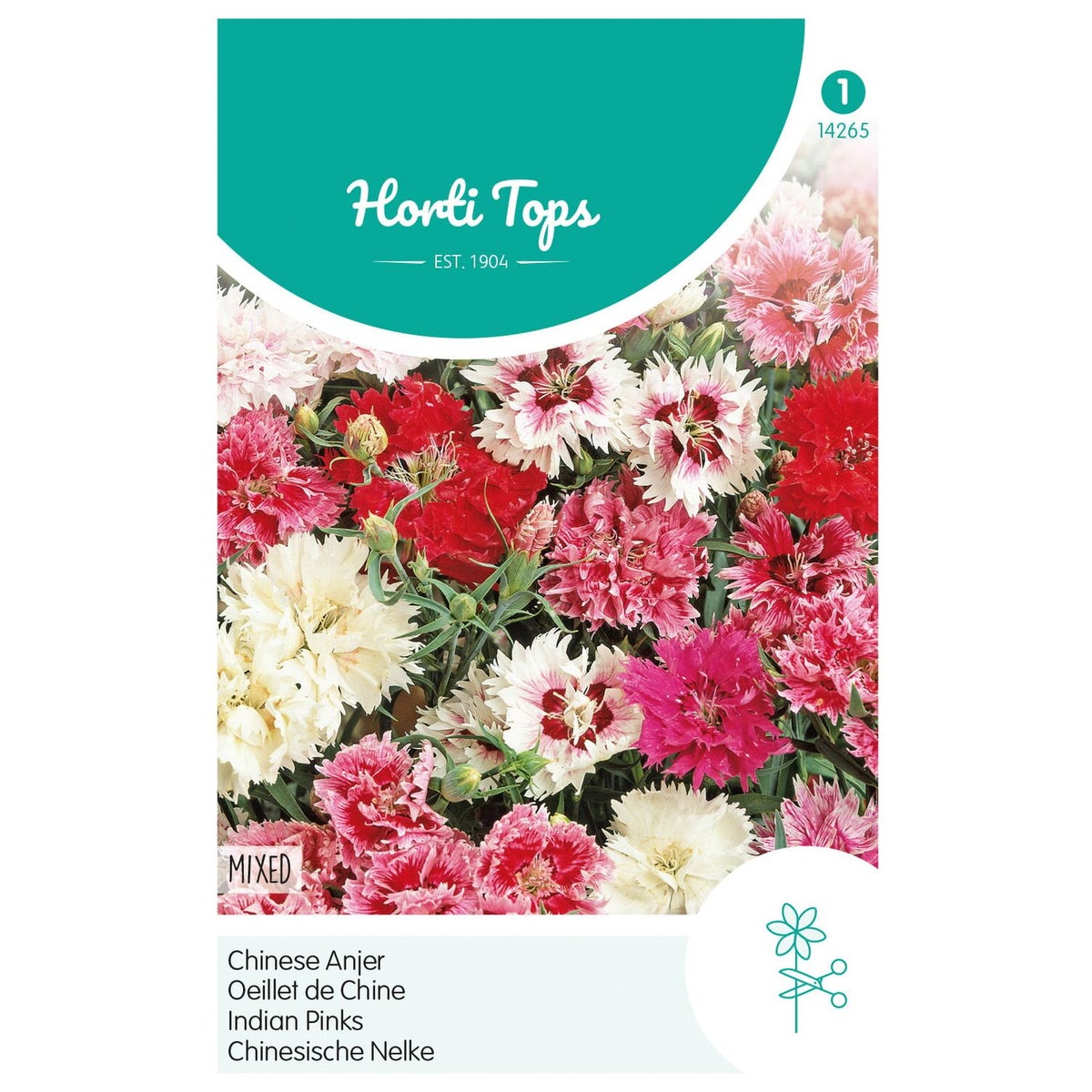 Chinese anjer Mix Chinese anjer Mix