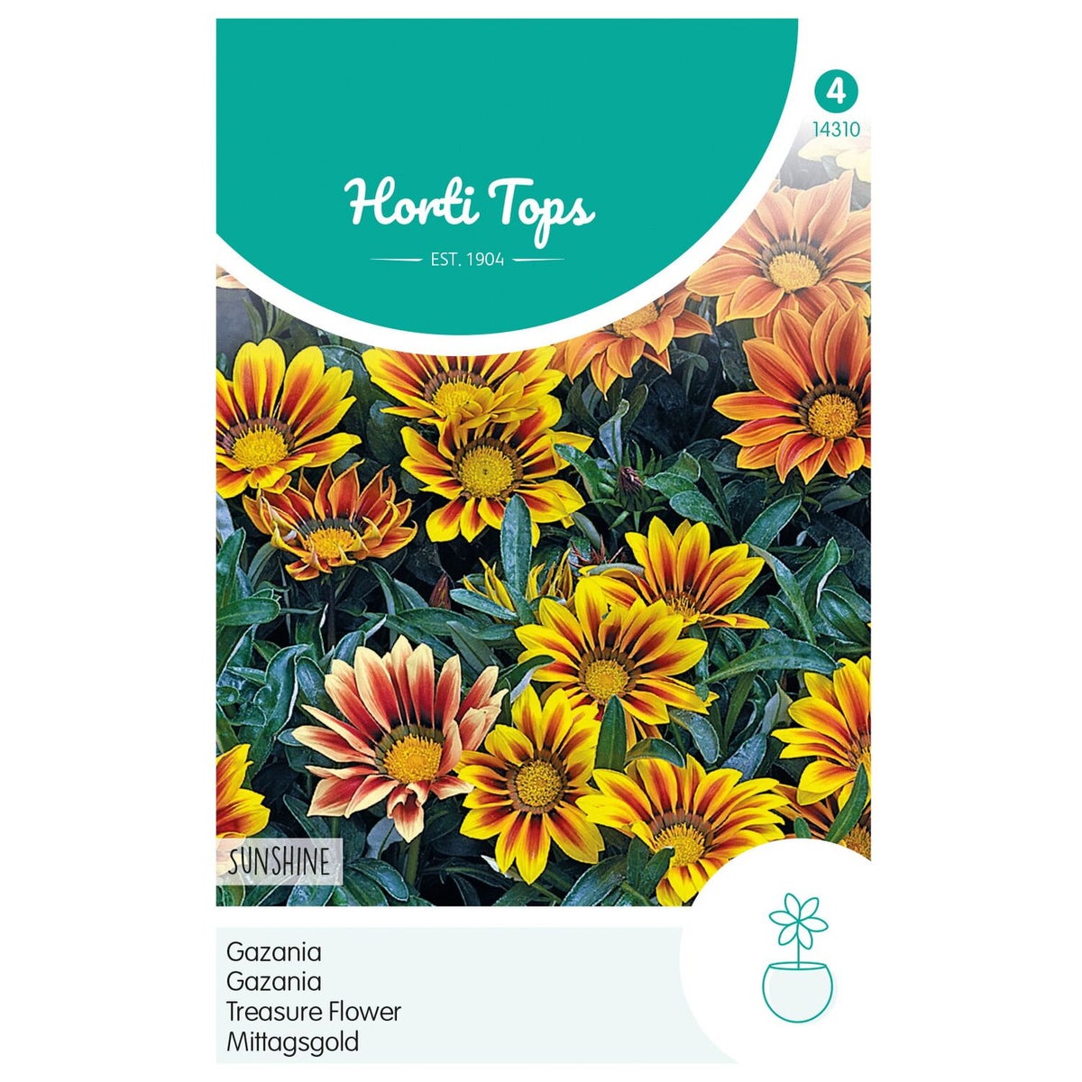 Gazania Sunshine mix Gazania Sunshine mix