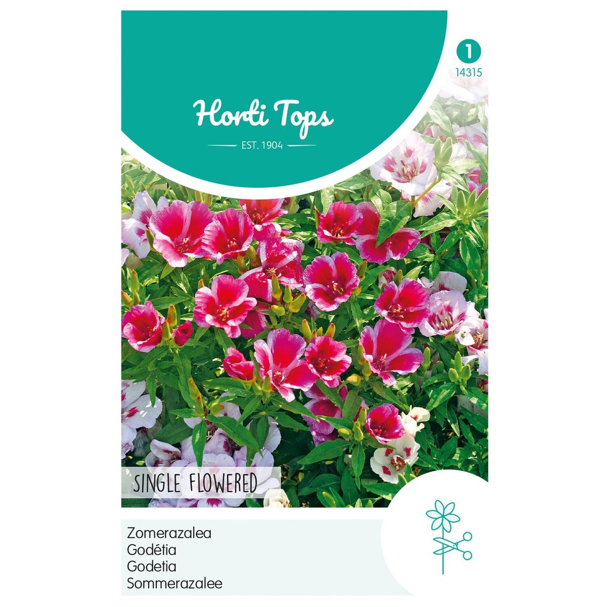 Zomerazalea Enkelbloemig Mix Zomerazalea Enkelbloemig Mix