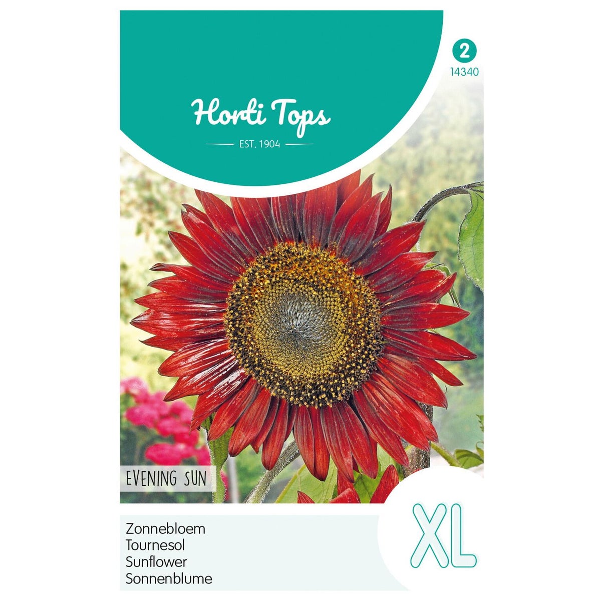 Zonnebloem Evening Sun Zonnebloem Evening Sun