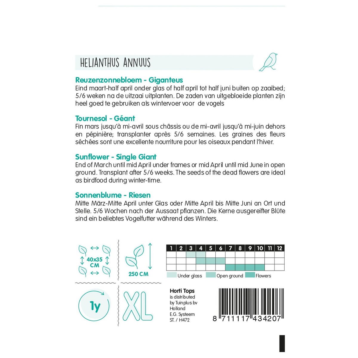 Zonnebloem Giganteus Zonnebloem Giganteus