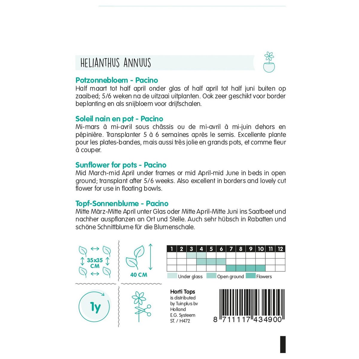 Potzonnebloem Pacino Potzonnebloem Pacino