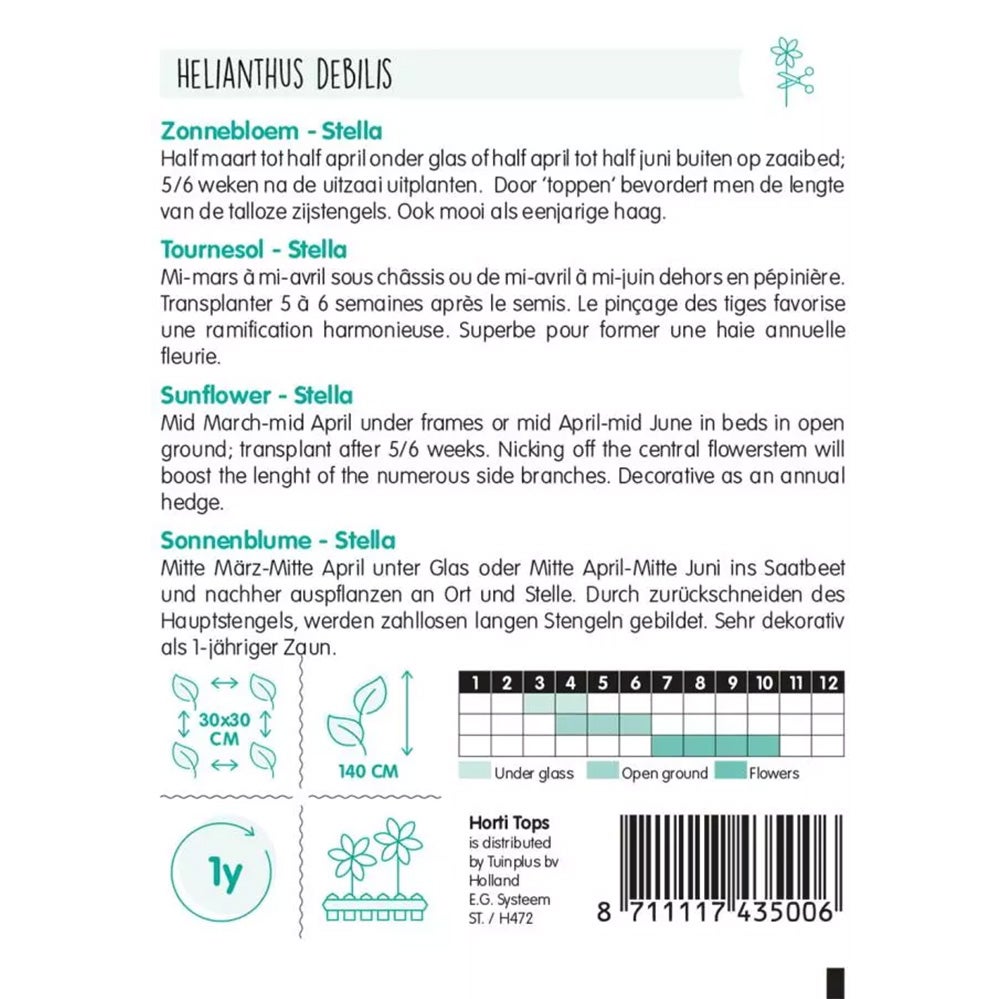Zonnebloem Stella Zonnebloem Stella