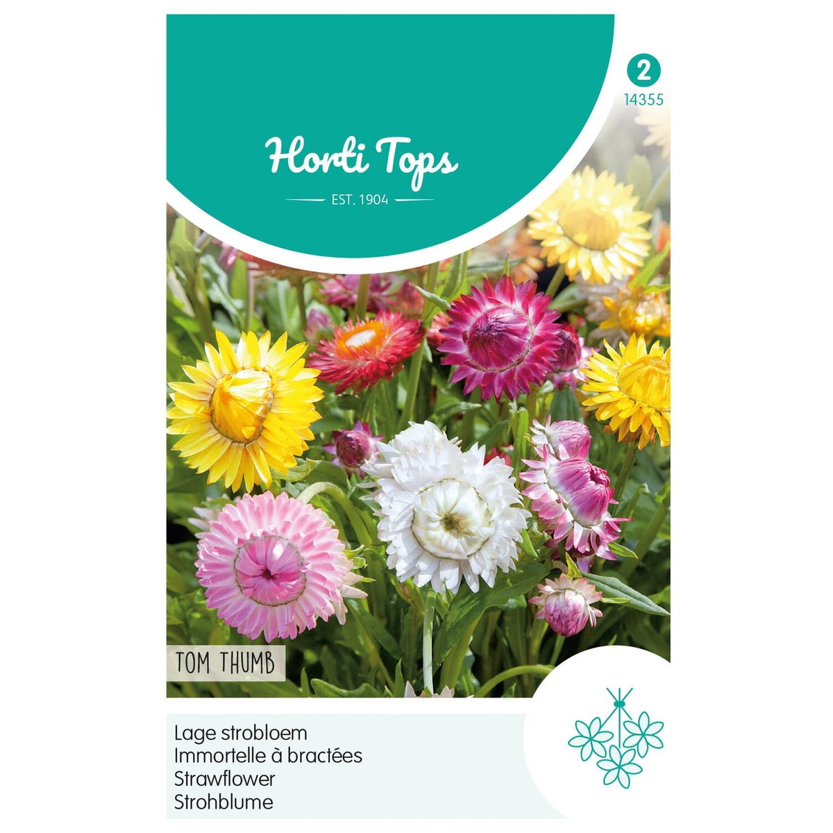 Lage strobloem Tom Thumb Lage strobloem Tom Thumb