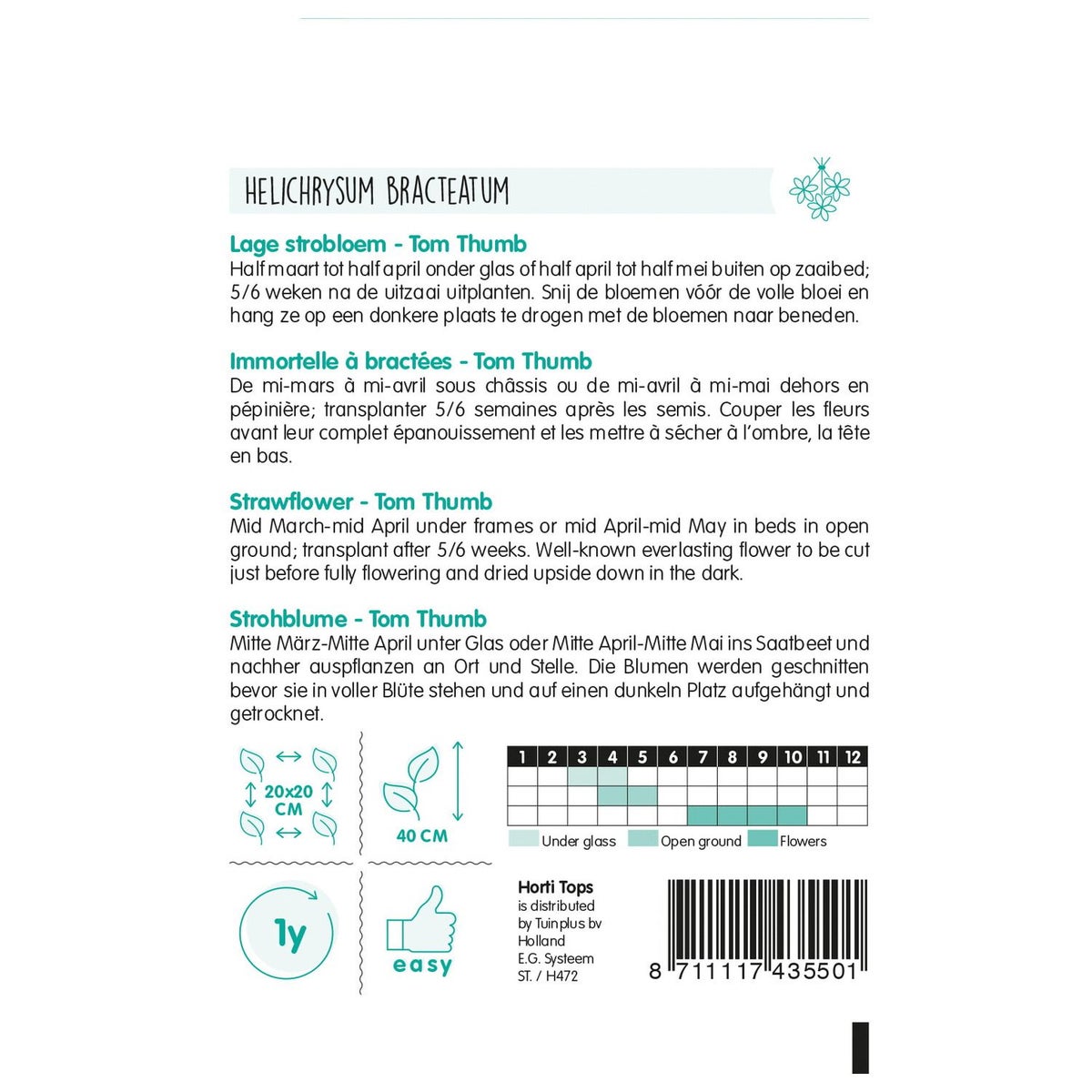 Lage strobloem Tom Thumb Lage strobloem Tom Thumb