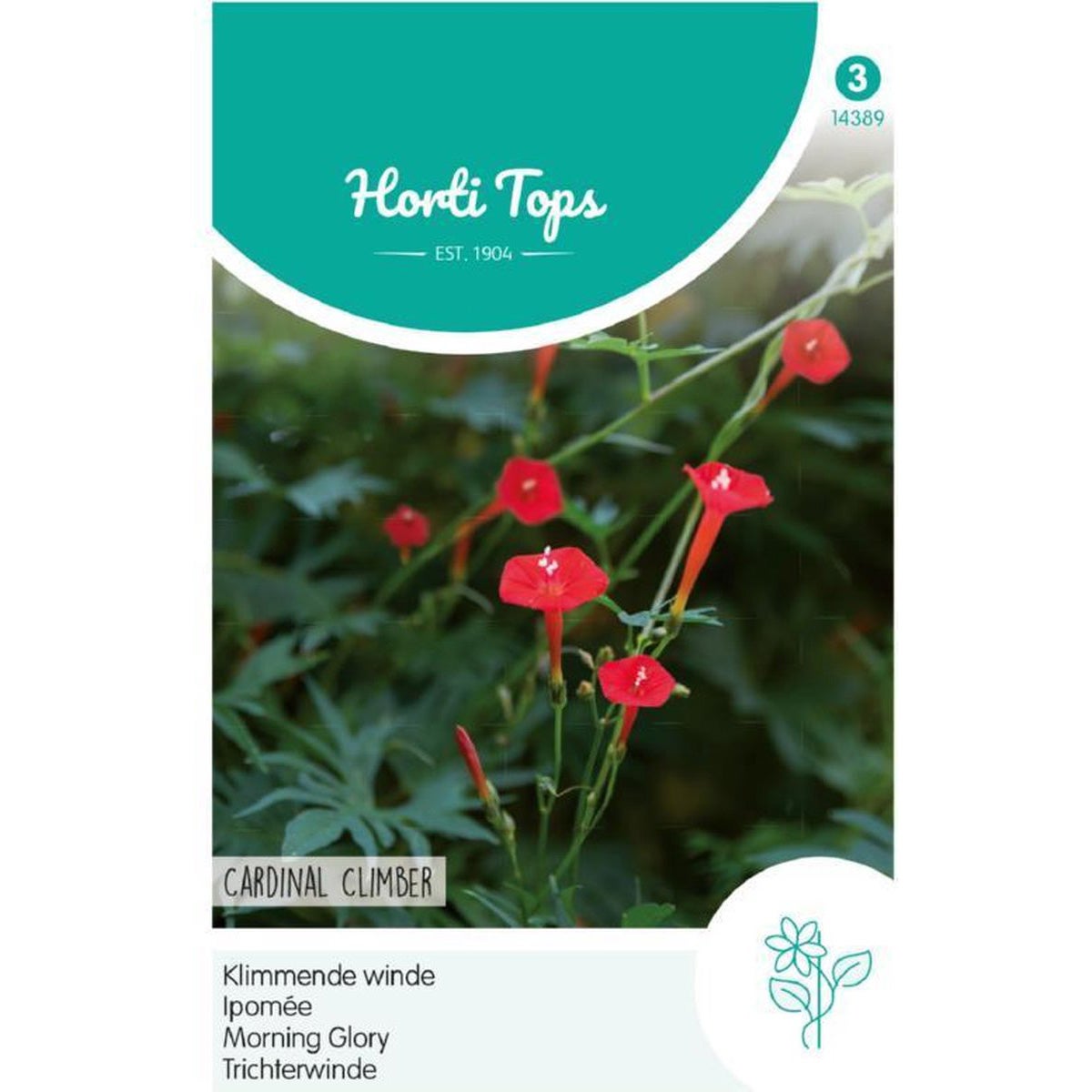 Klimmende winde Cardinal Climber Klimmende winde Cardinal Climber