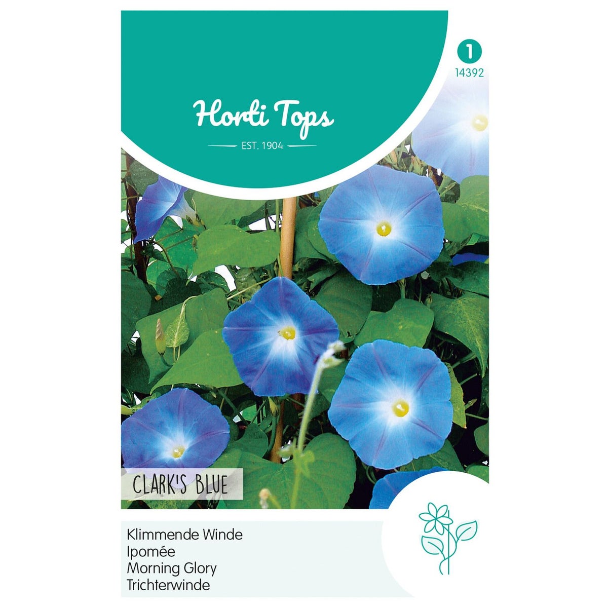 Klimmende Winde Clark Blue Klimmende Winde Clark Blue