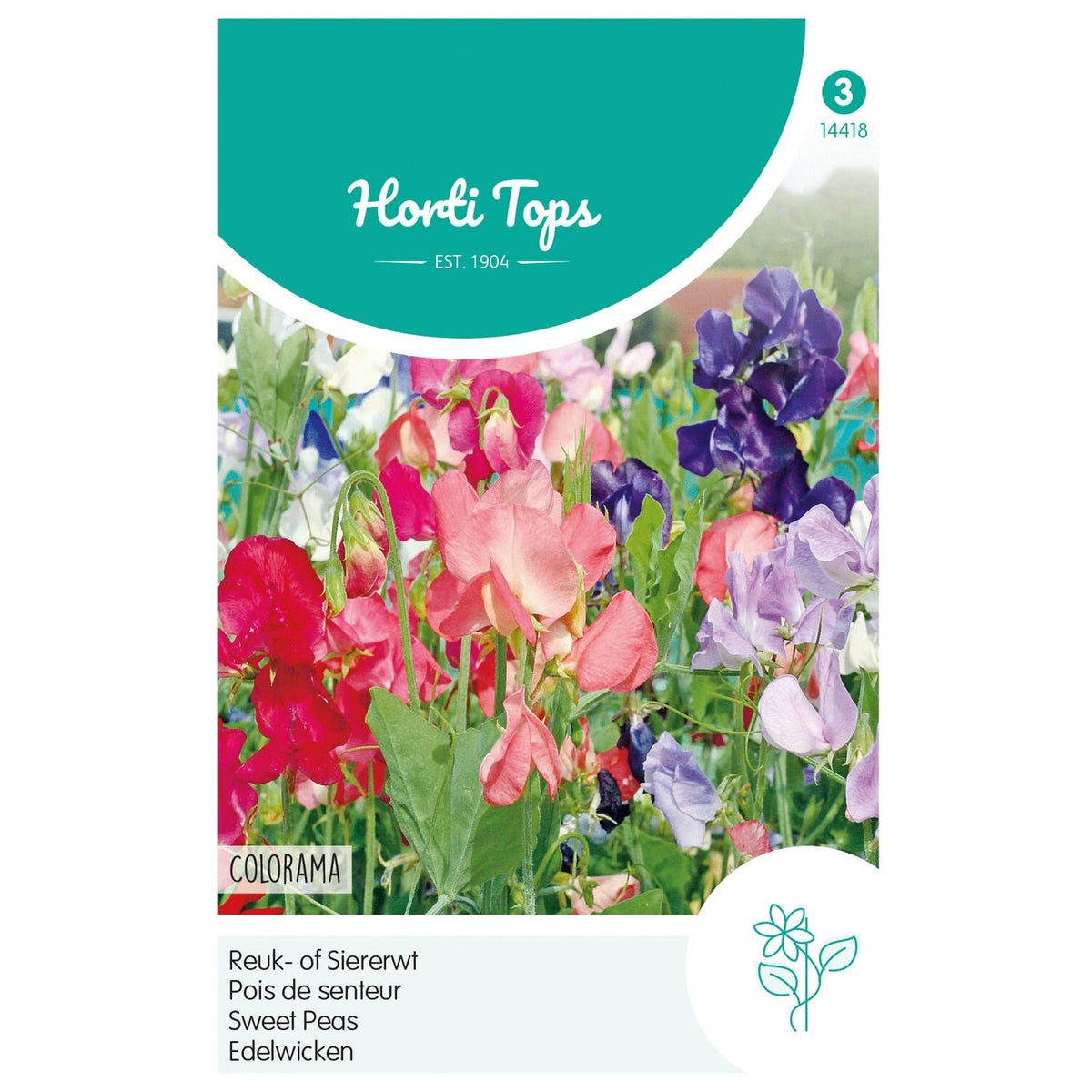 Lathyrus Colorama Mix Lathyrus Colorama Mix