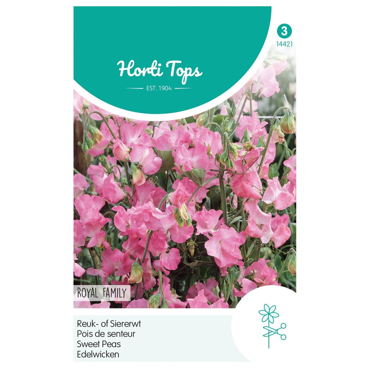 Lathyrus Royal roze Lathyrus Royal roze