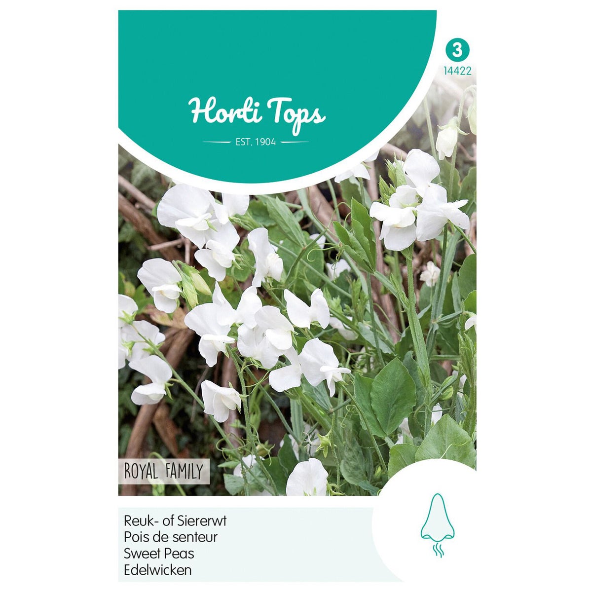 Lathyrus Royal White Lathyrus Royal White