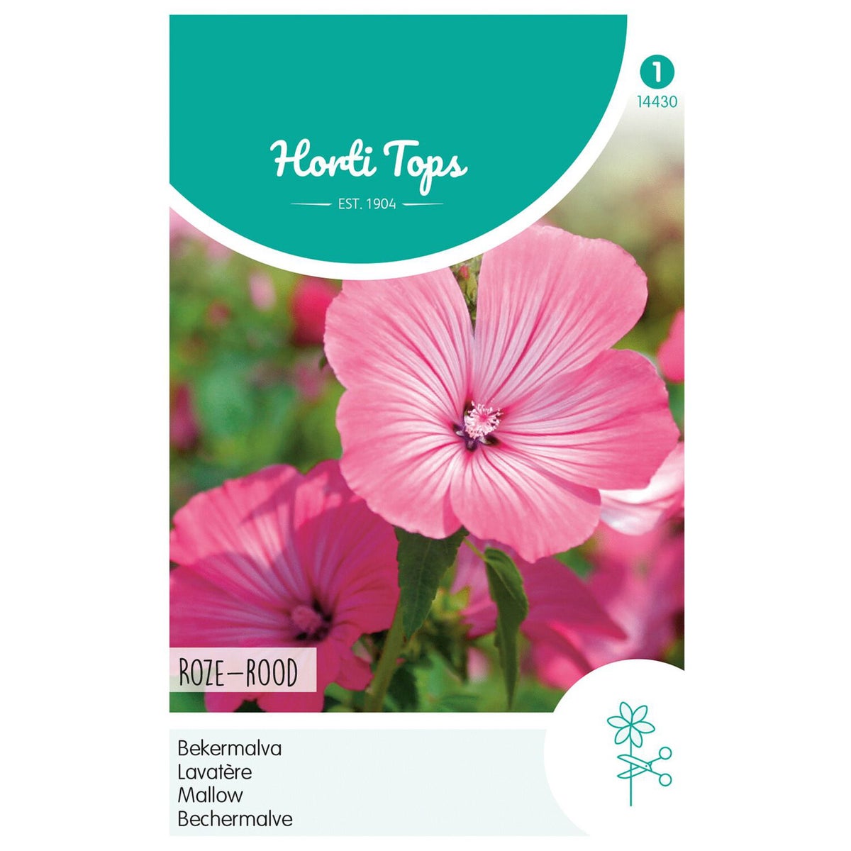 Lavatera rozerood Lavatera rozerood