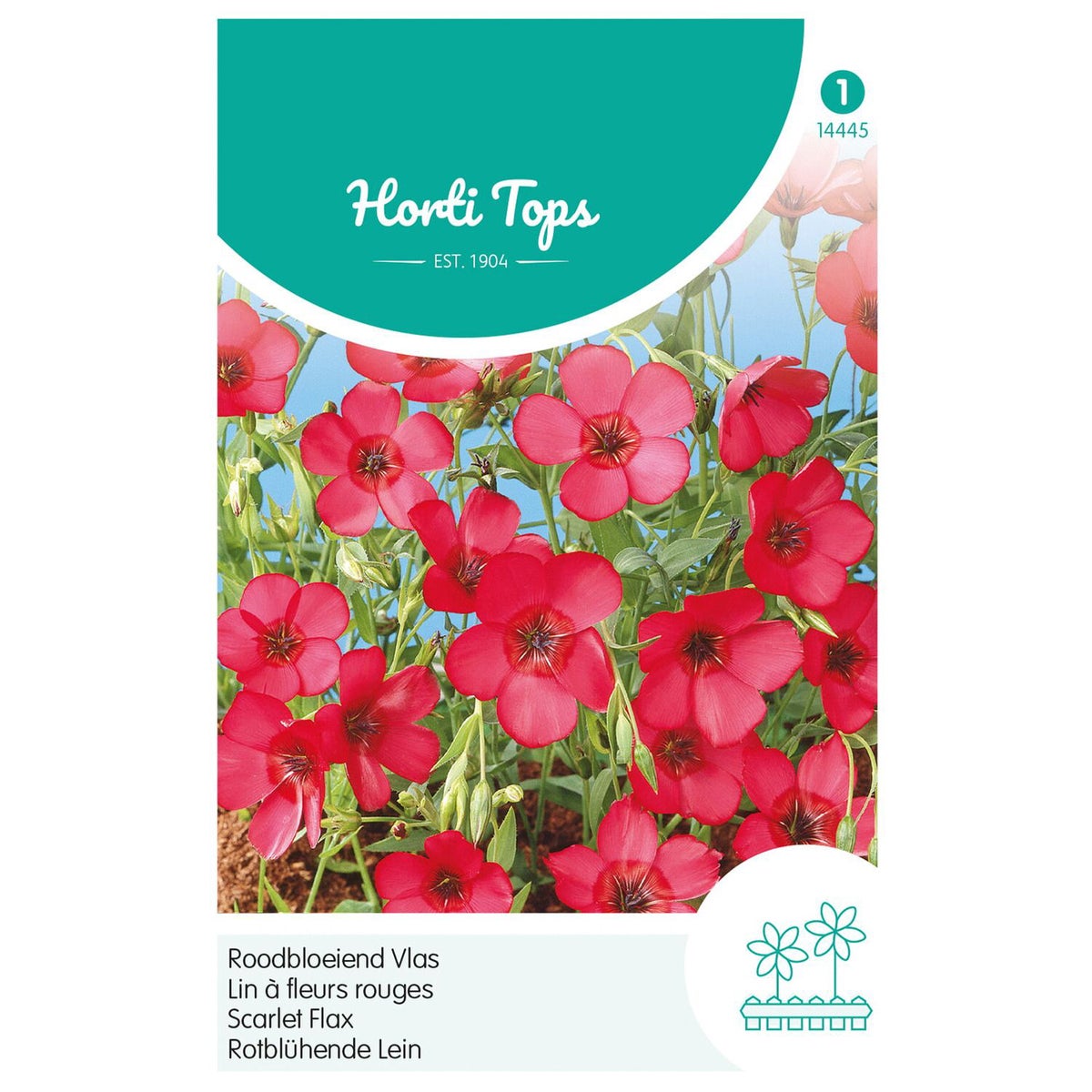 Linum rood Linum rood