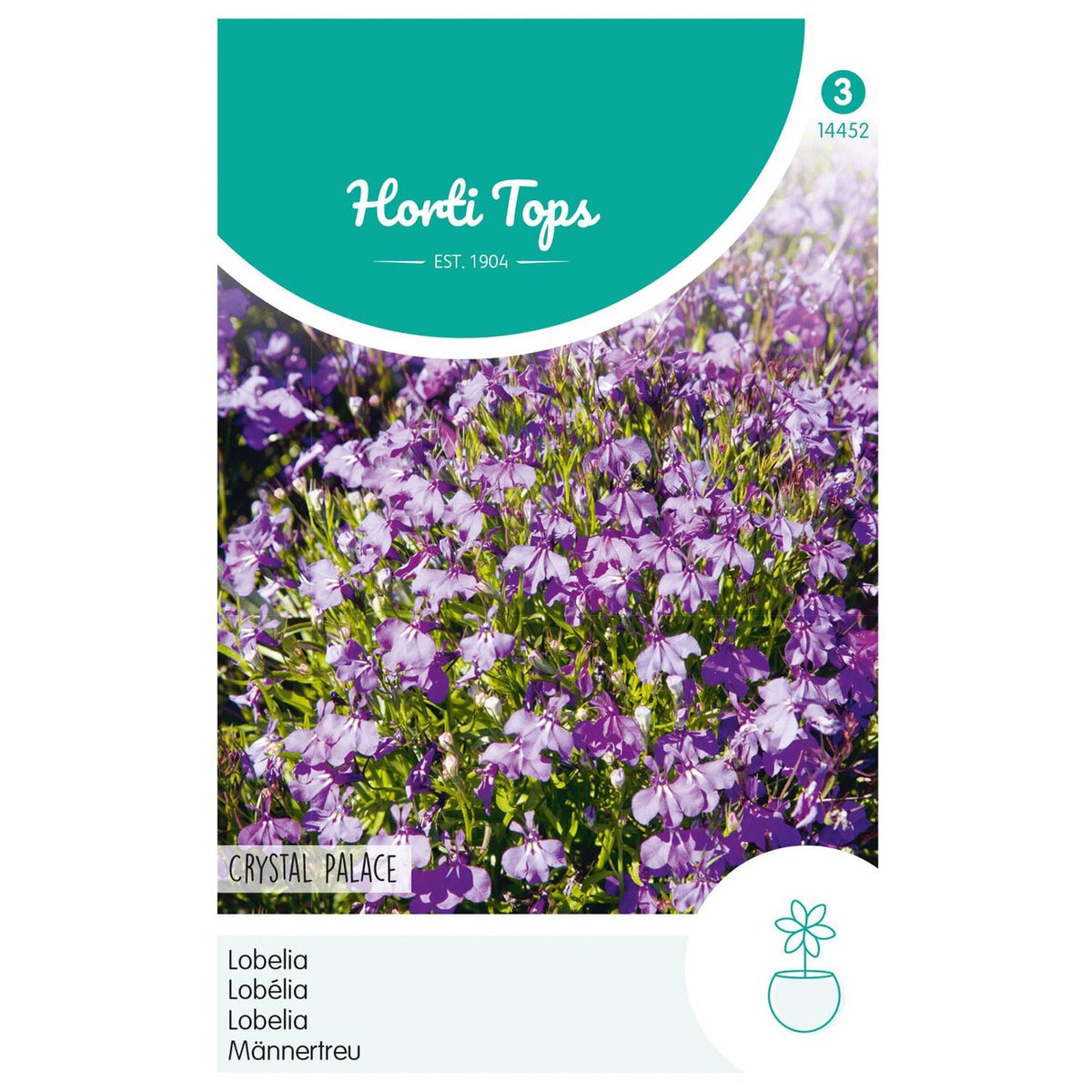 Lobelia Crystal Palace Lobelia Crystal Palace