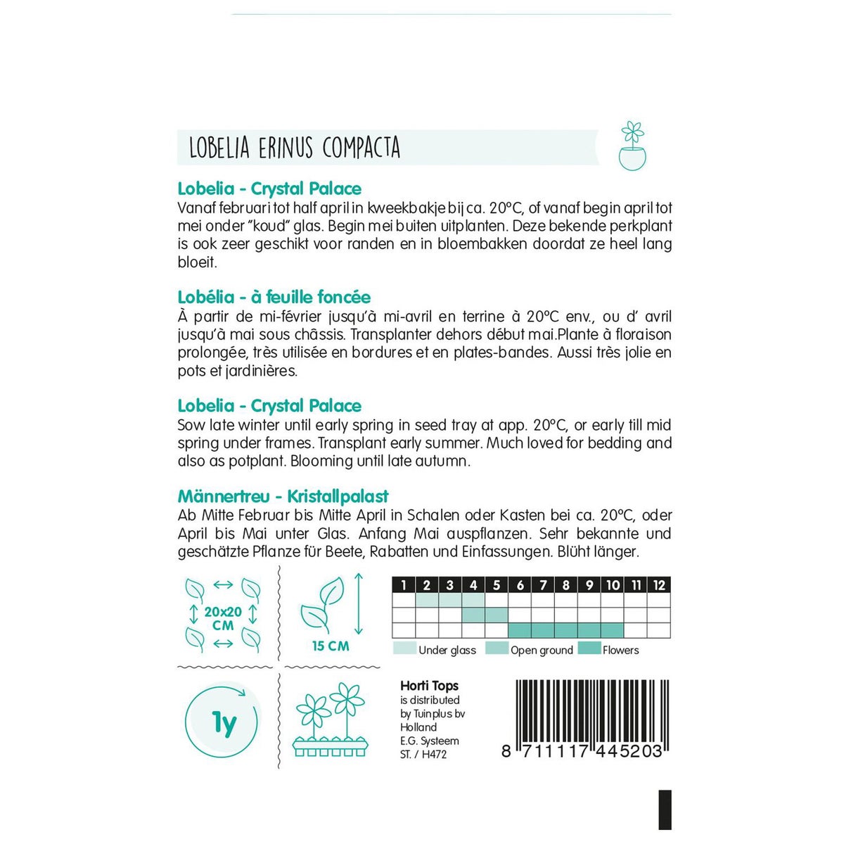 Lobelia Crystal Palace Lobelia Crystal Palace