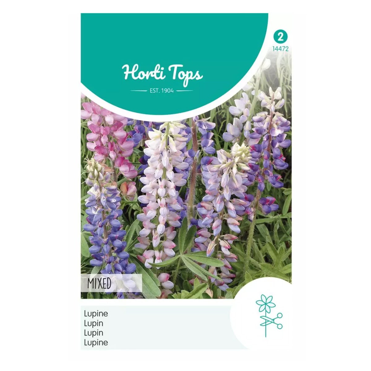 Lupine gemengd Lupine gemengd