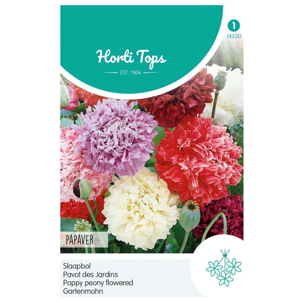 Papaver Slaapbol mix Papaver Slaapbol mix