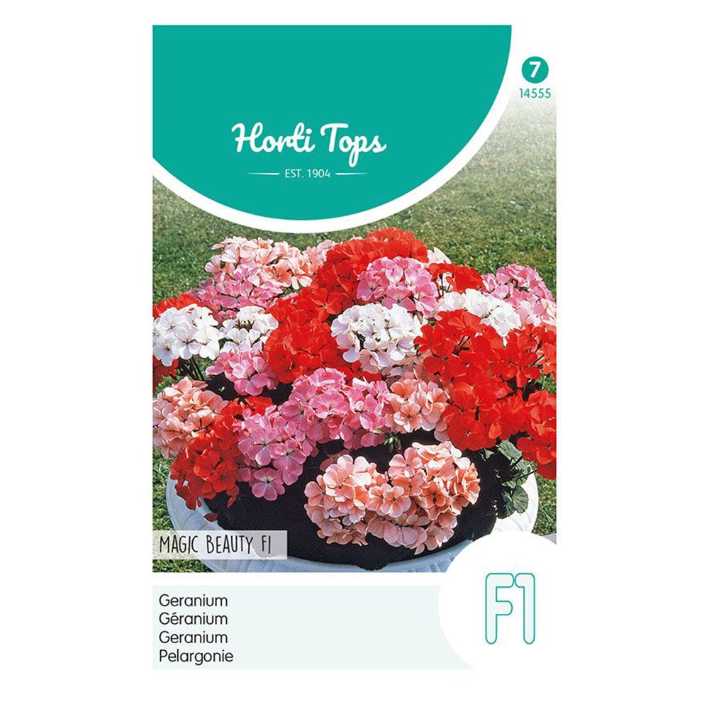 Geranium Magic Beauty F1 mix Geranium Magic Beauty F1 mix