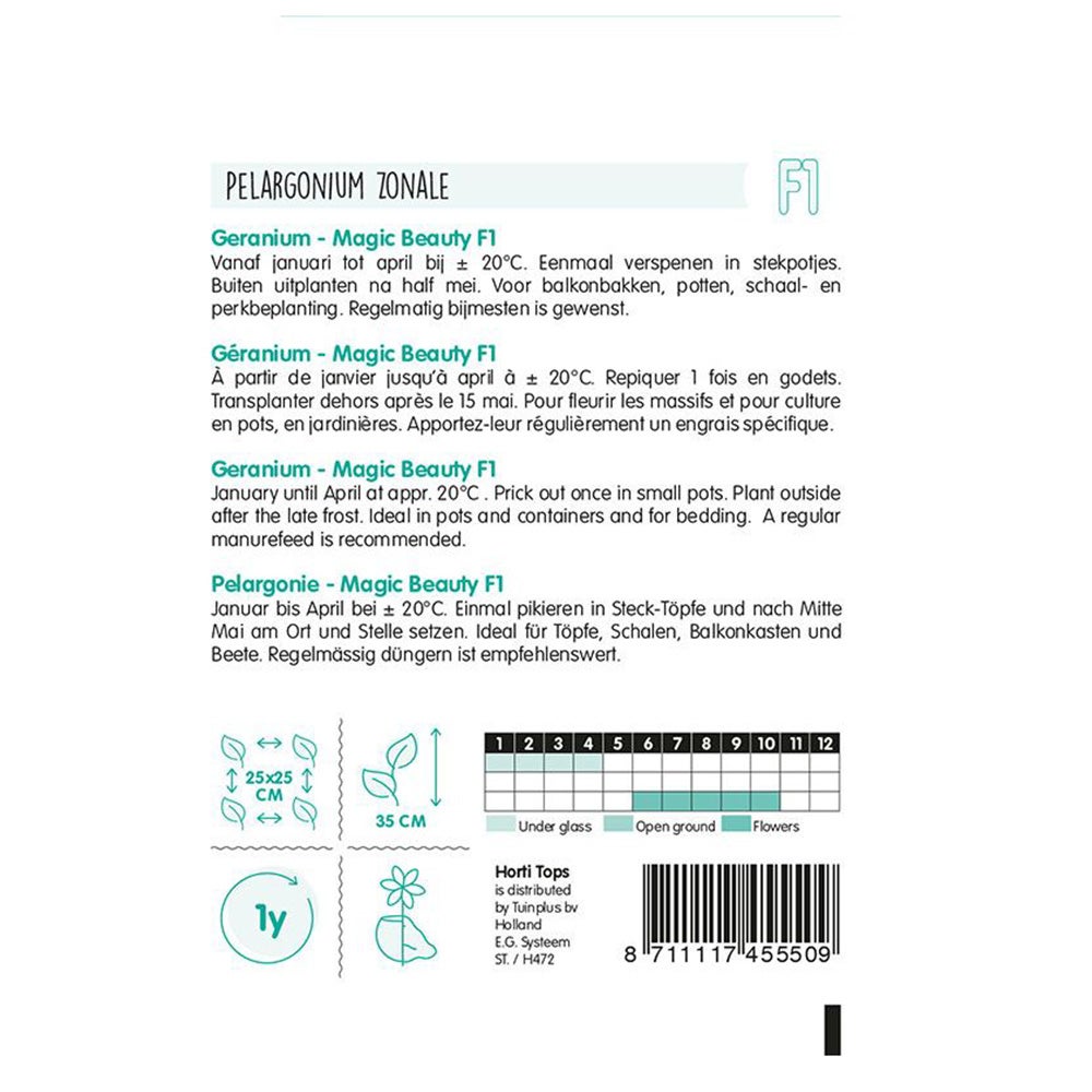 Geranium Magic Beauty F1 mix Geranium Magic Beauty F1 mix