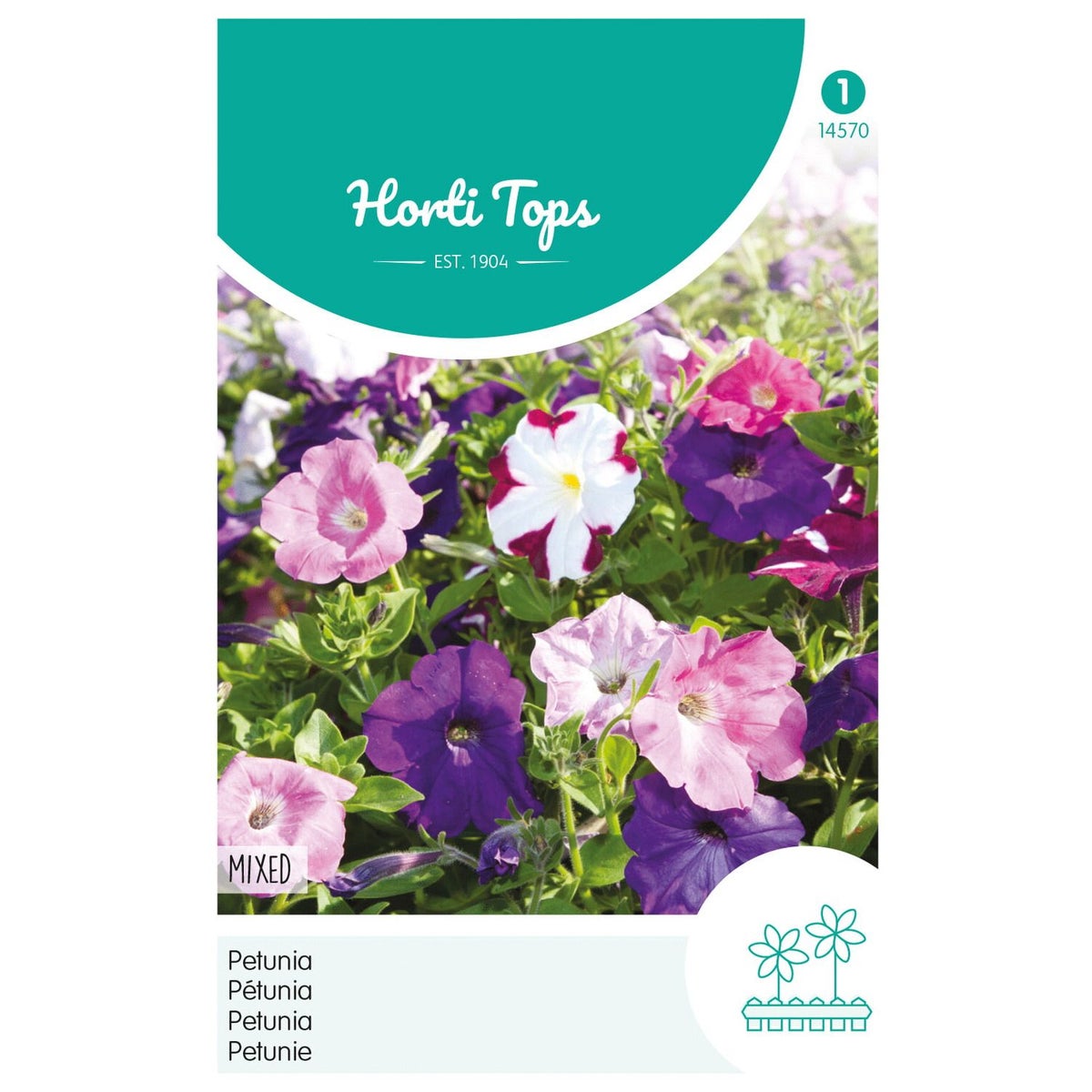 Petunia laag mix Petunia laag mix