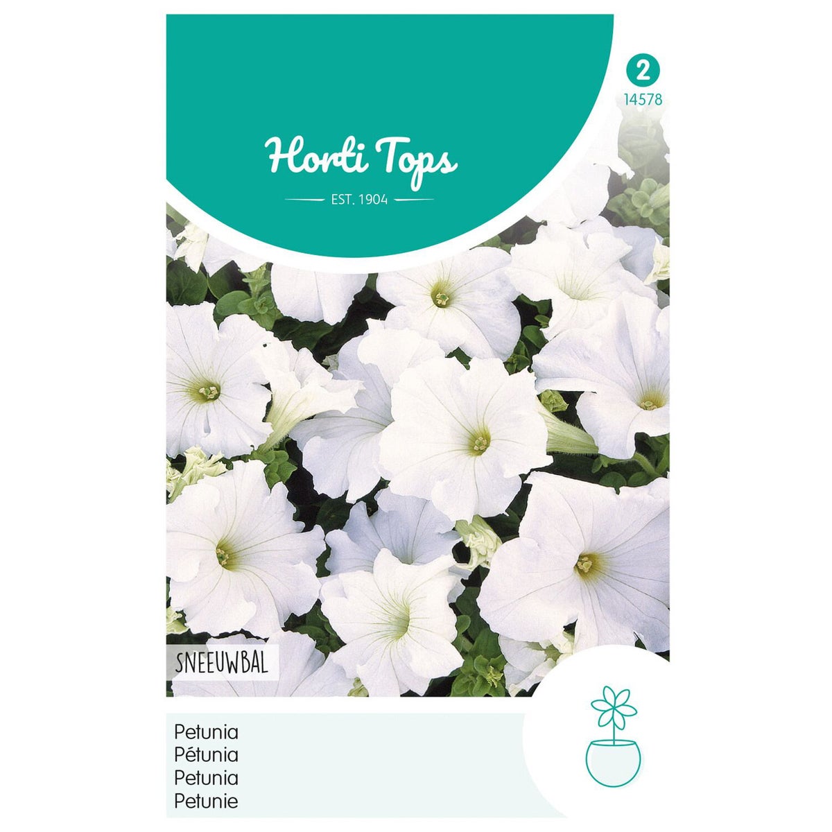 Petunia Sneeuwbal Petunia Sneeuwbal