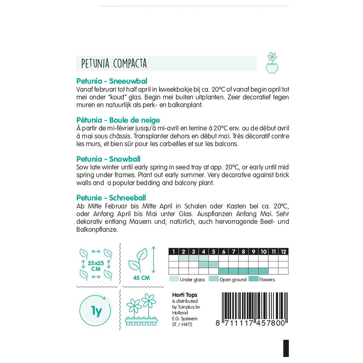 Petunia Sneeuwbal Petunia Sneeuwbal