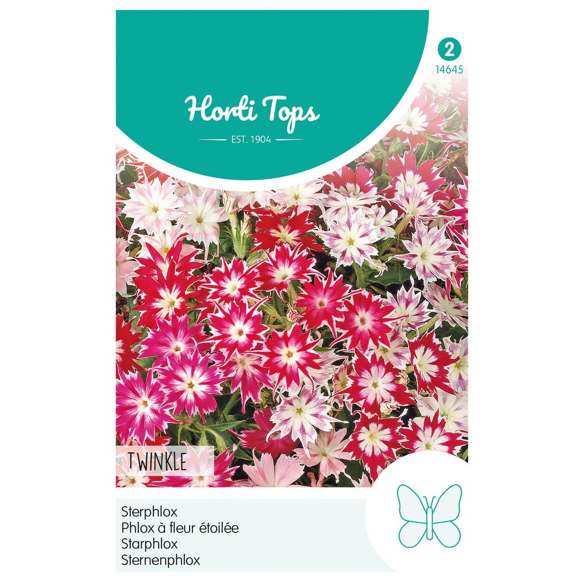 Phlox Sterphlox Twinkle gemengd Phlox Sterphlox Twinkle gemengd