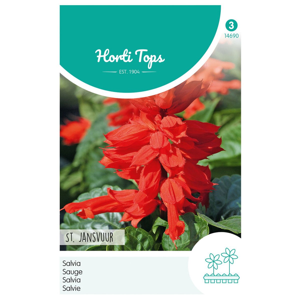 Vuursalie St. Jansvuur Vuursalie St. Jansvuur