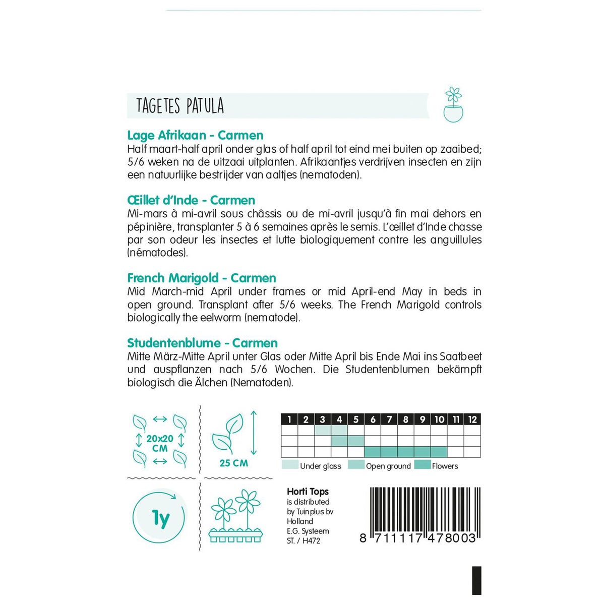 Lage Afrikaan Carmen Lage Afrikaan Carmen