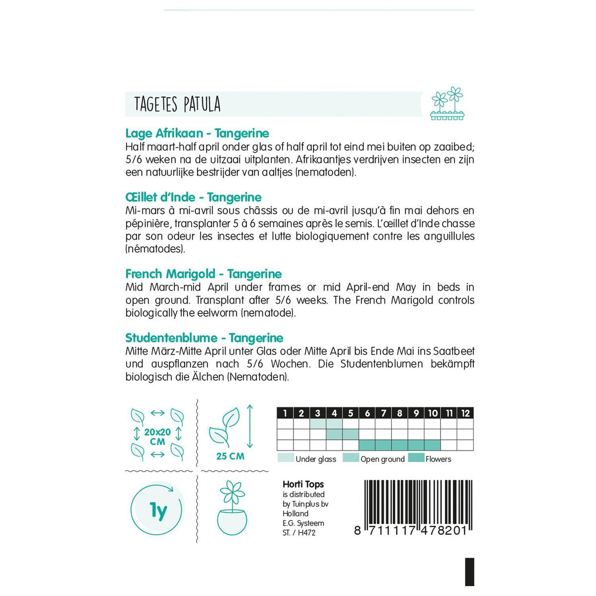 Lage Afrikaan Tangerine Lage Afrikaan Tangerine