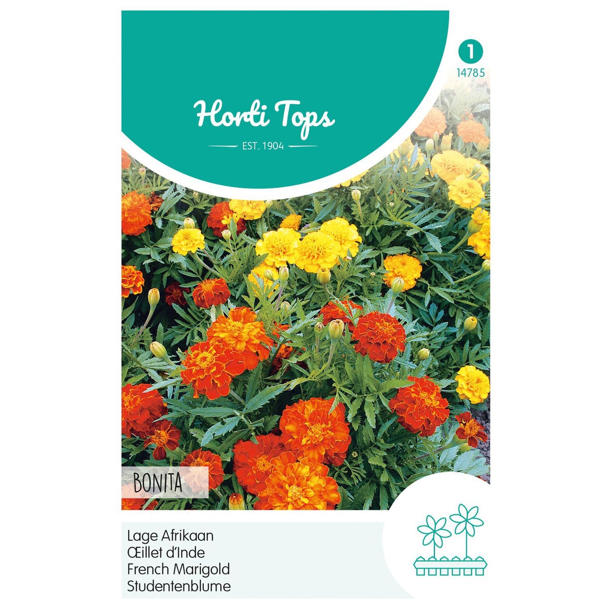 Lage Afrikaan Bonita mix Lage Afrikaan Bonita mix