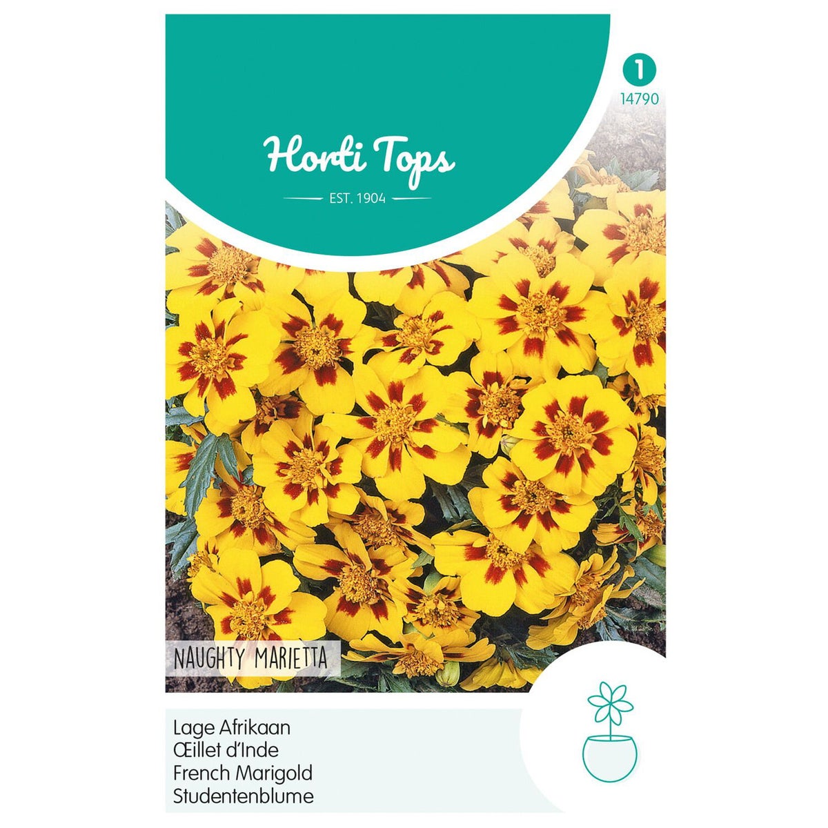 Lage Afrikaan Naughty Marietta Lage Afrikaan Naughty Marietta