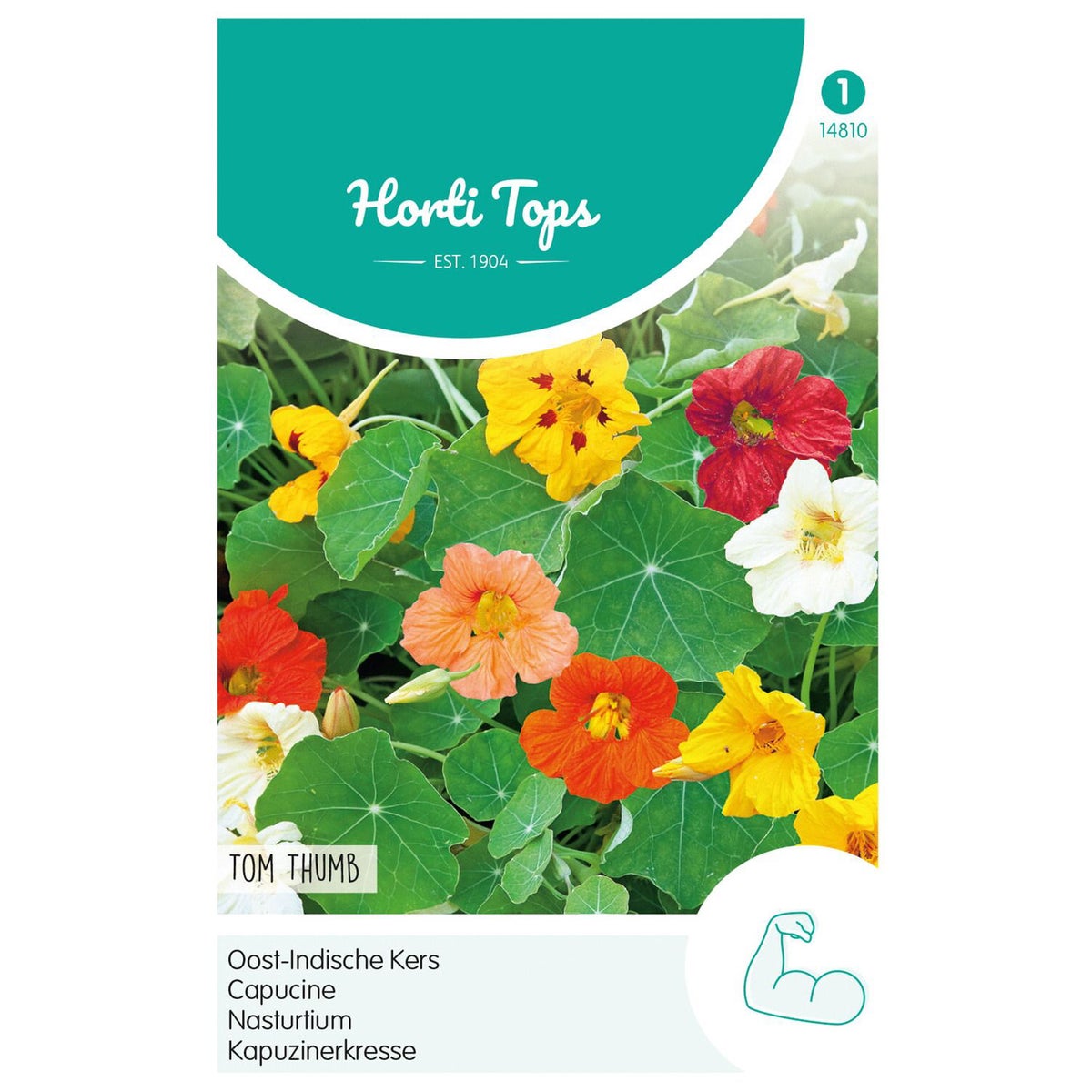 Oost-Indische kers Tom Thumb Oost-Indische kers Tom Thumb