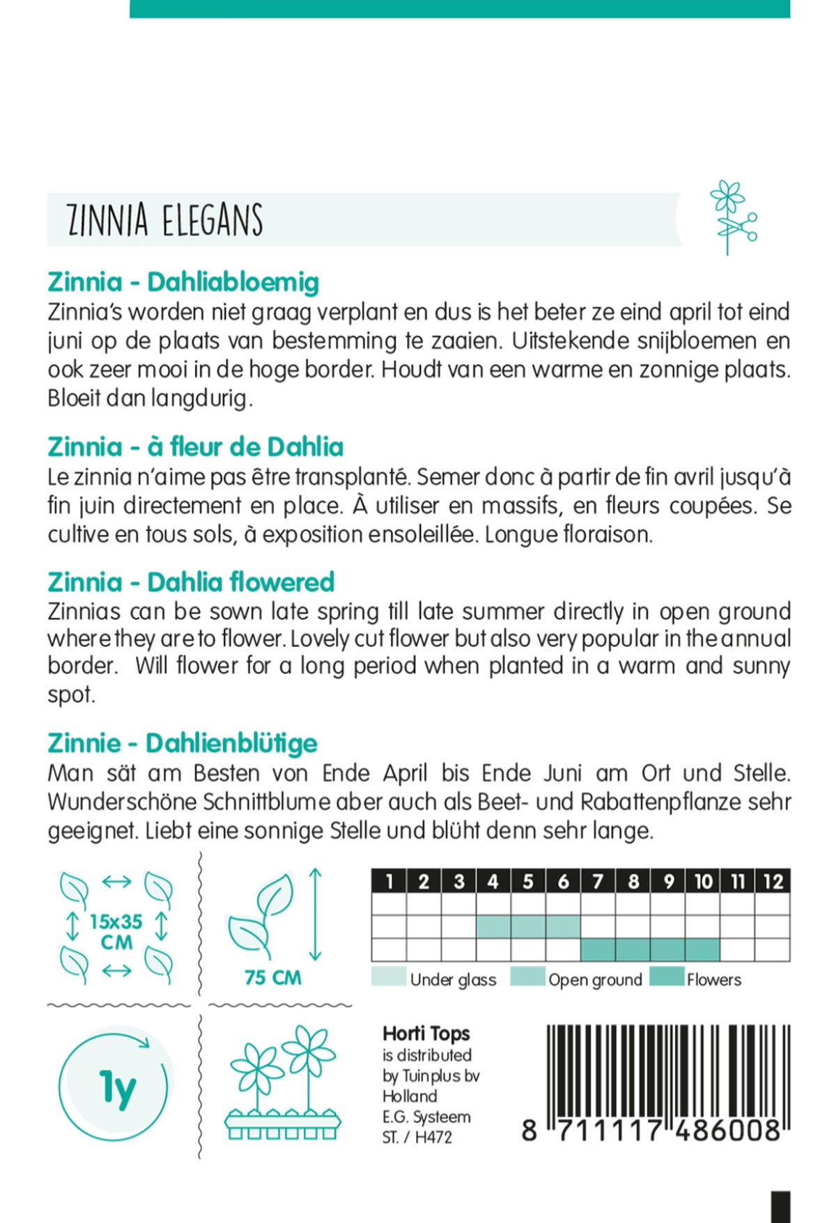 Zinnia Dahliabloemig Zinnia Dahliabloemig