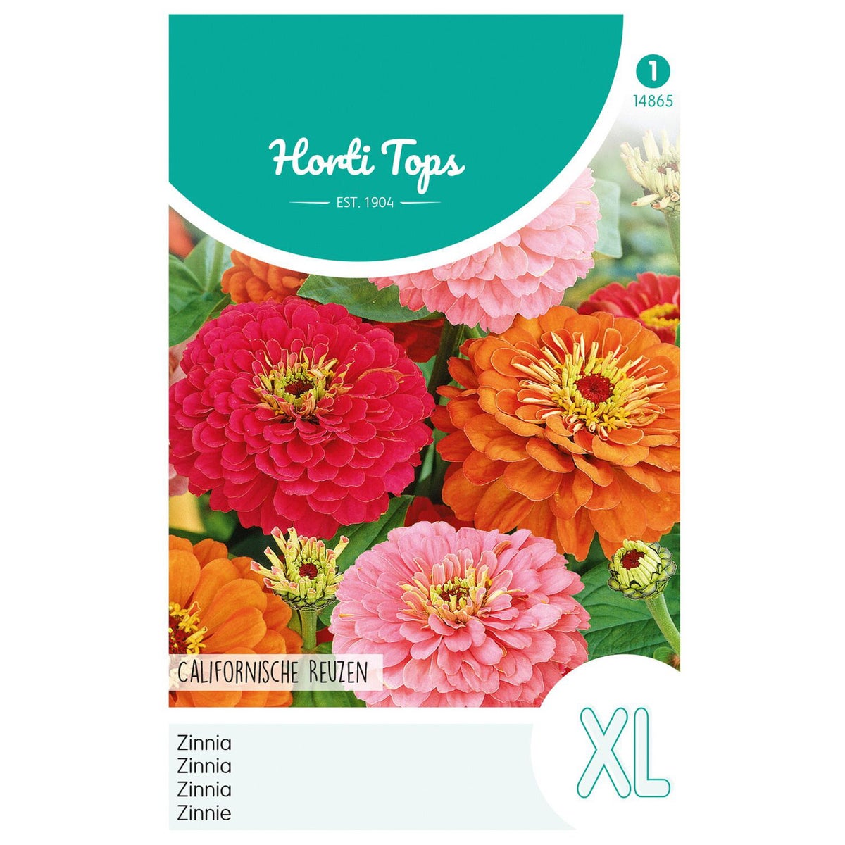 Zinnia Californische reuzen mix Zinnia Californische reuzen mix